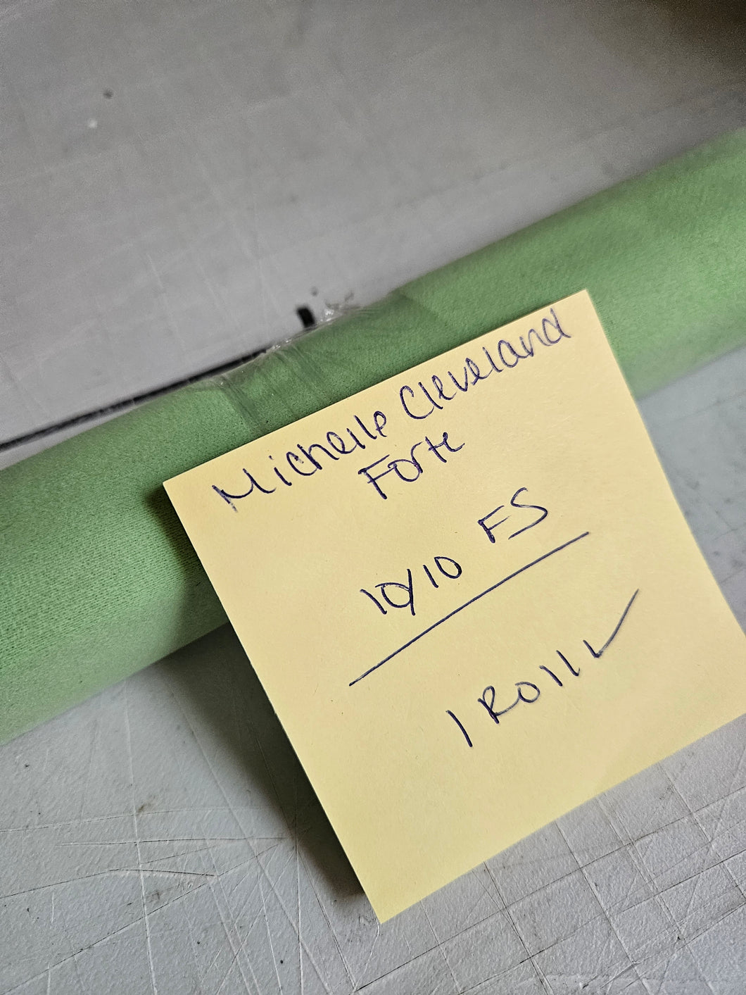 1010FS Michelle Forte