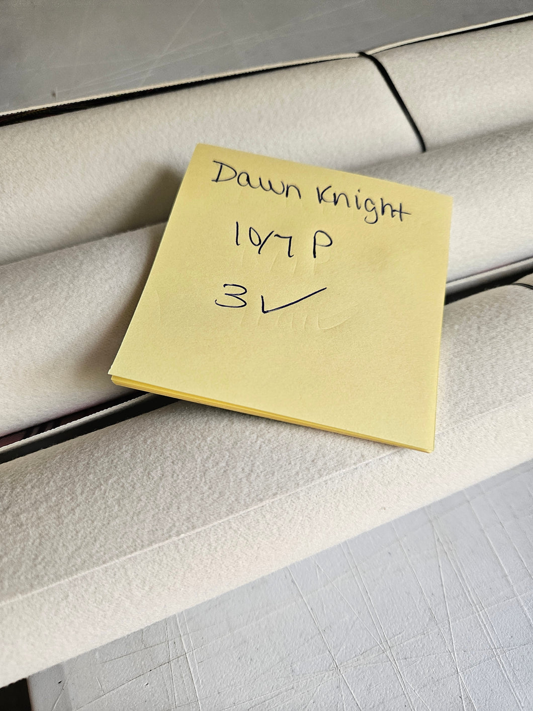 1007BRPRE dawn knight