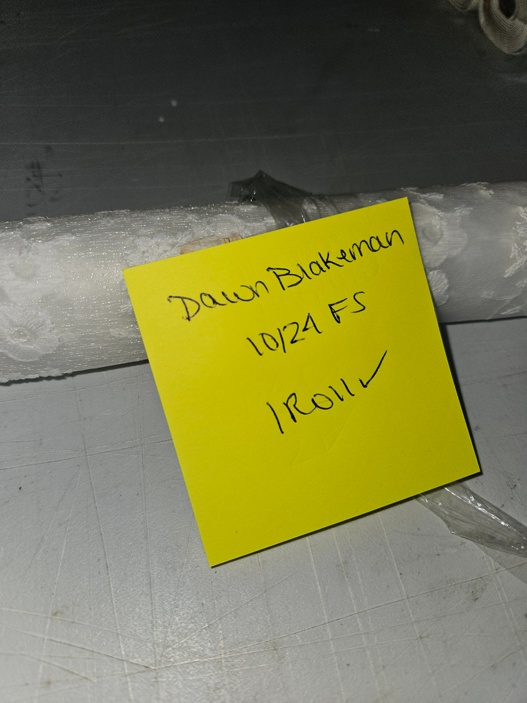 1024FS dawn blakeman