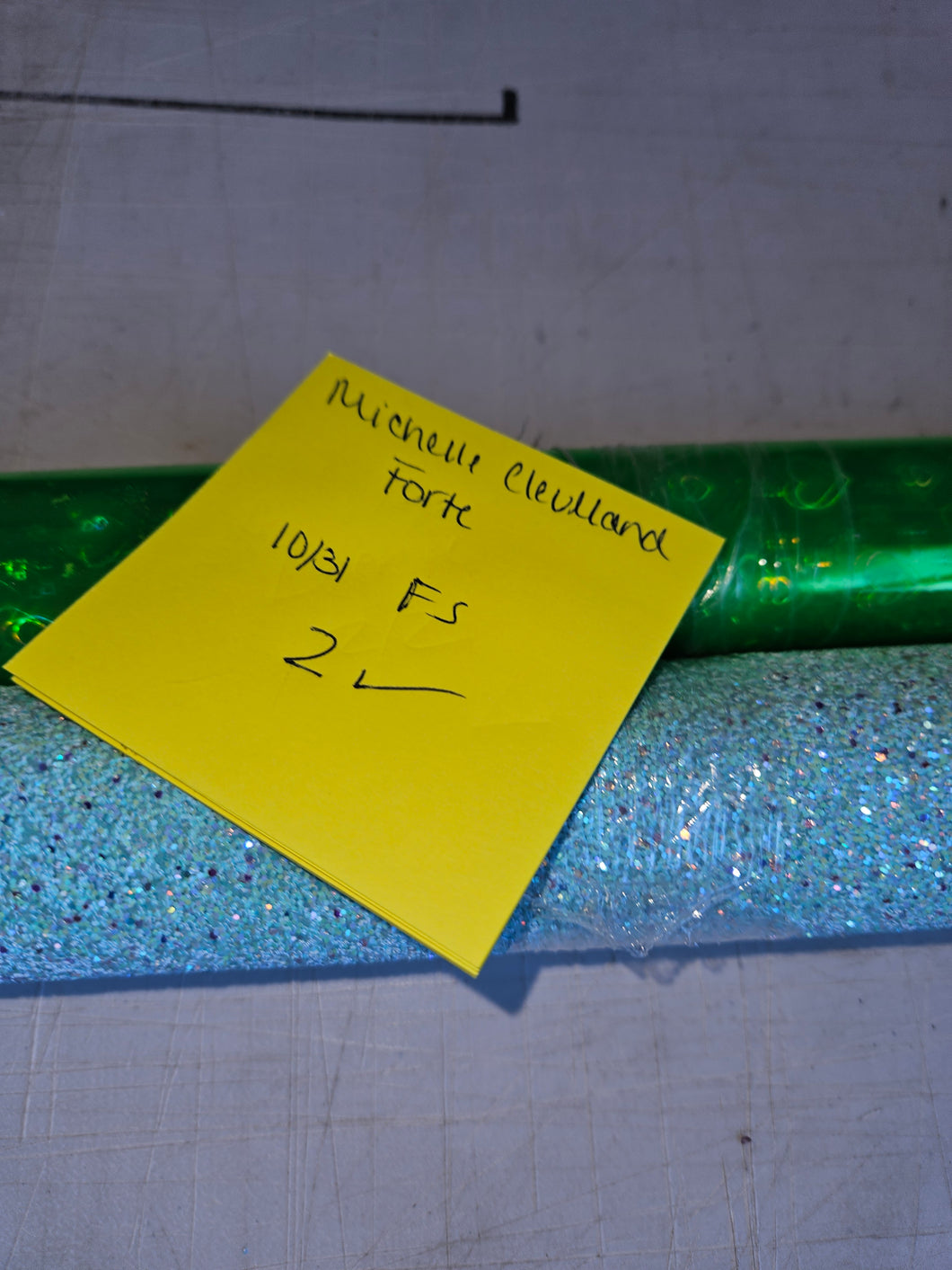 1031fs Michelle forte