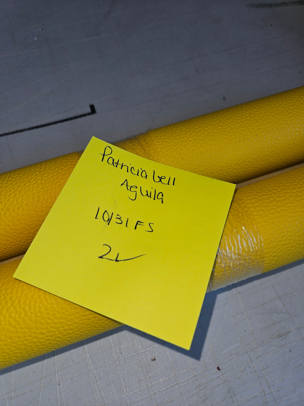 1031fs Patricia Gell Aguila